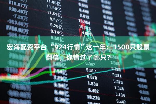 宏海配资平台 “924行情”这一年：1500只股票翻倍，你错过了哪只？