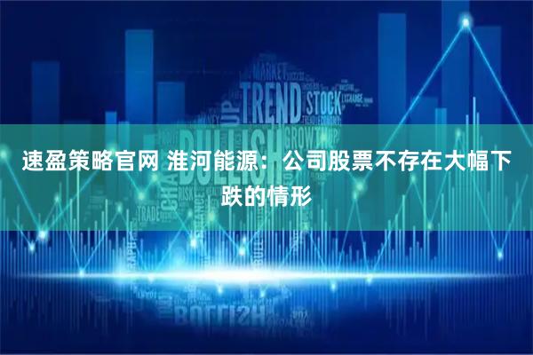 速盈策略官网 淮河能源：公司股票不存在大幅下跌的情形