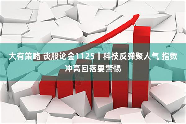 大有策略 谈股论金1125丨科技反弹聚人气 指数冲高回落要警惕