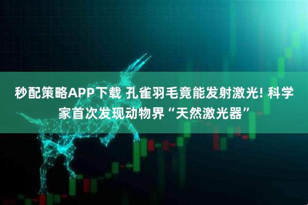 秒配策略APP下载 孔雀羽毛竟能发射激光! 科学家首次发现动物界“天然激光器”